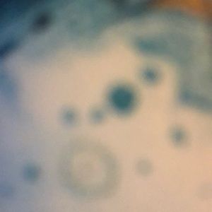 Meet your Posher, Summer